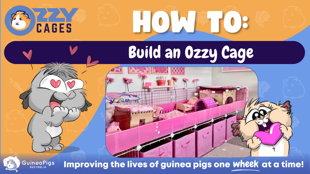 HOW TO: A step-by-step guide to build your Ozzy Cage
