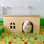 Cavy Condo - Ozzy Pets