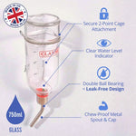 Classic Glass Drinking Bottle 750ml (Large)