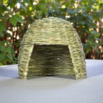 Ozzy Pets House of Grass