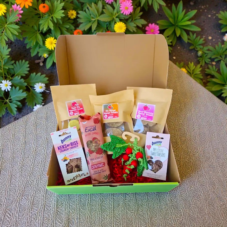 Curated visual reference: Fresh Look at Deluxe Gift Box For Guinea Pigs And Rabbits