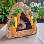 Ozzy Pets Grass Carrot Hut