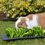 Snuffle Forage Mat
