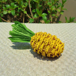 Ozzy Pets Chompy Pineapple