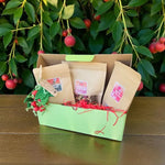 Classic Christmas Gift Box for Guinea Pigs and Rabbits