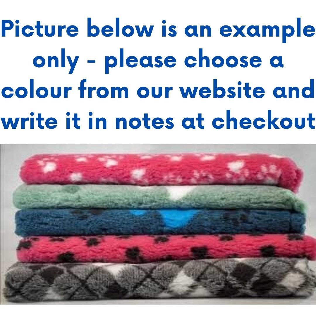 Custom Vet Bed Guinea Pigs Australia