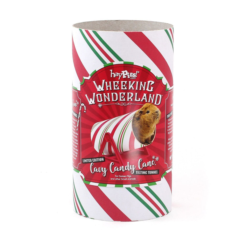 Haypigs Cavy Candy Cane Tilting Tunnel