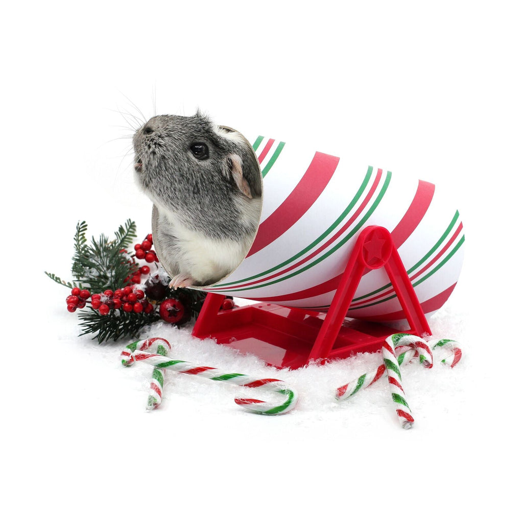 Haypigs Cavy Candy Cane Tilting Tunnel
