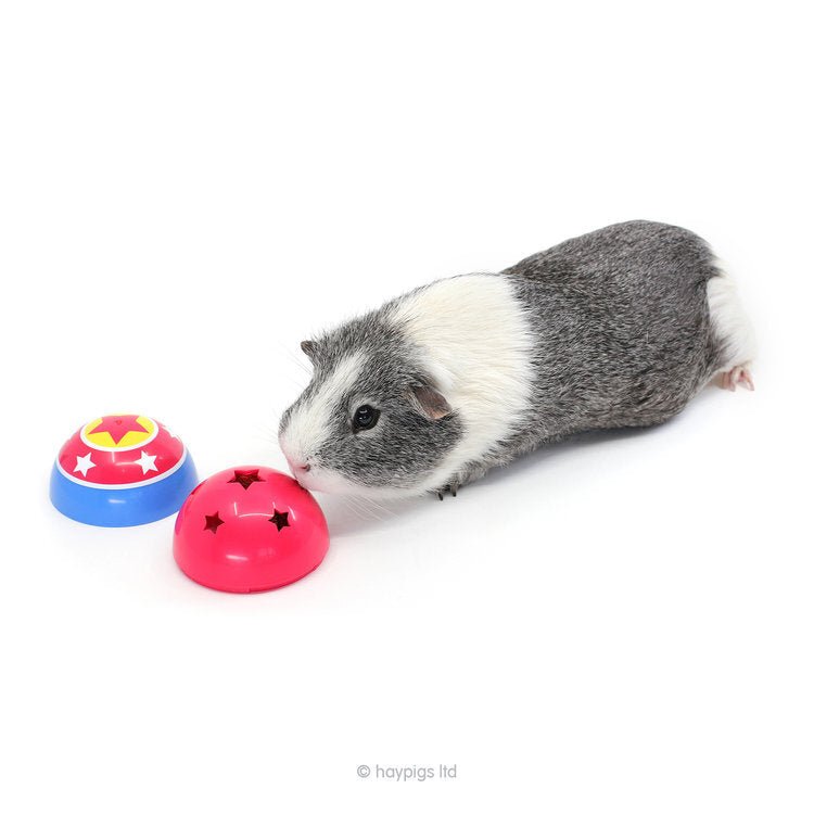 HayPigs! Circus Treat Ball - 3-in-1 Enrichment Toy