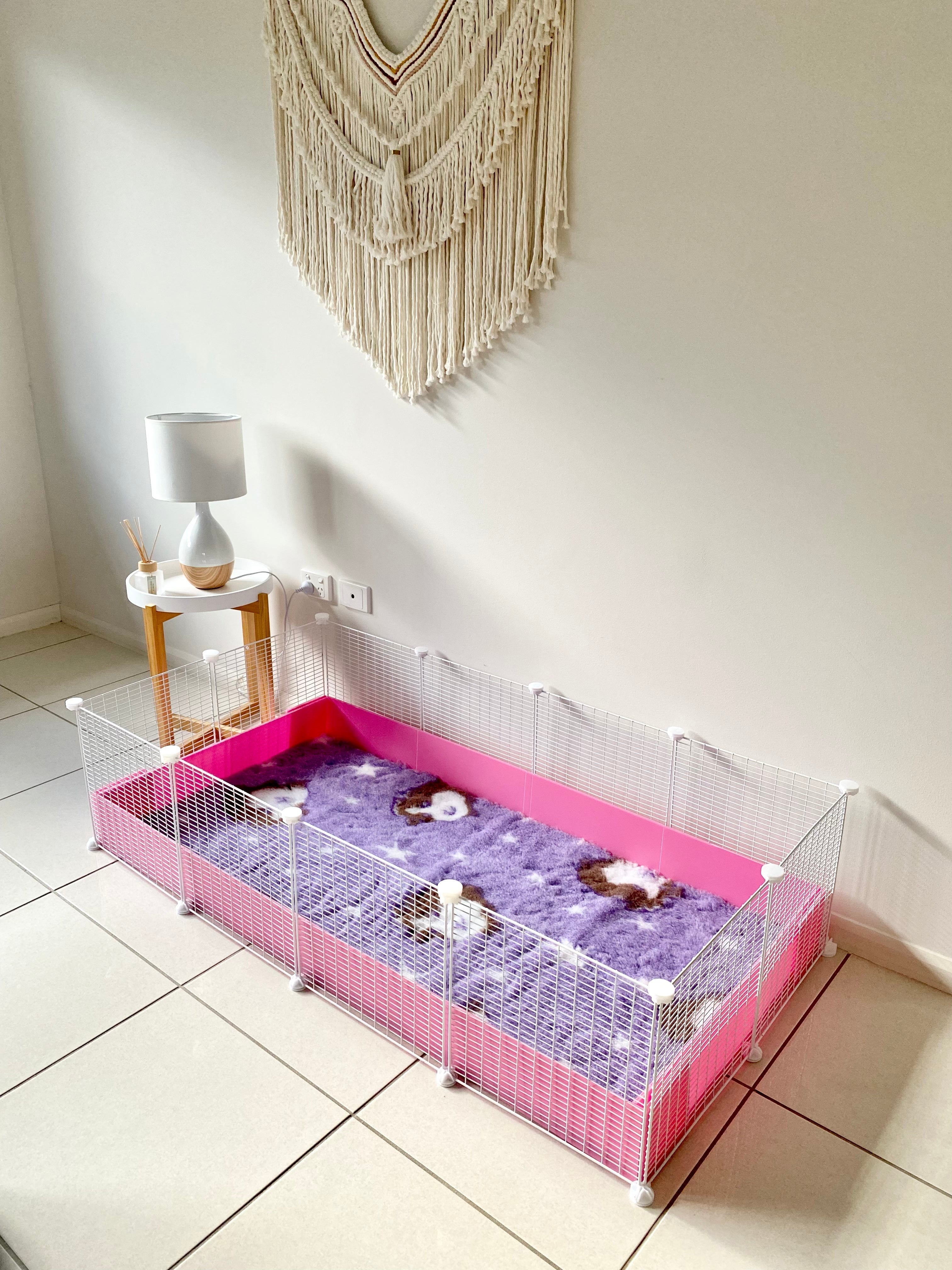 Why Vets Love Ozzy C&C Cages from Guinea Pigs Australia