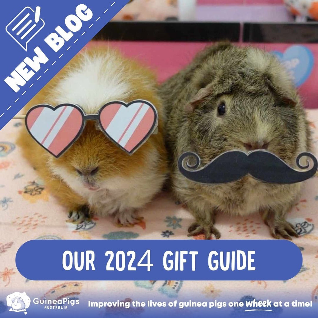 Our 2024 Gift Guide