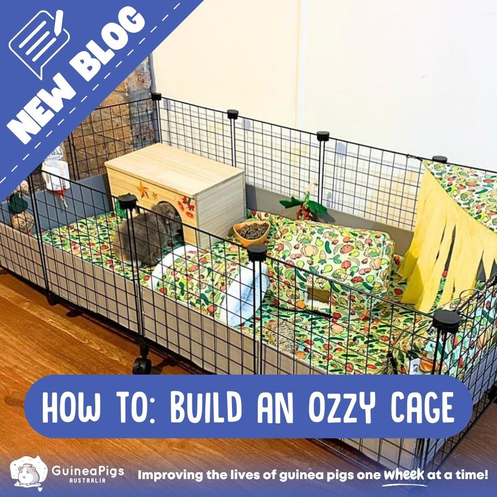 How to build an Ozzy Cage