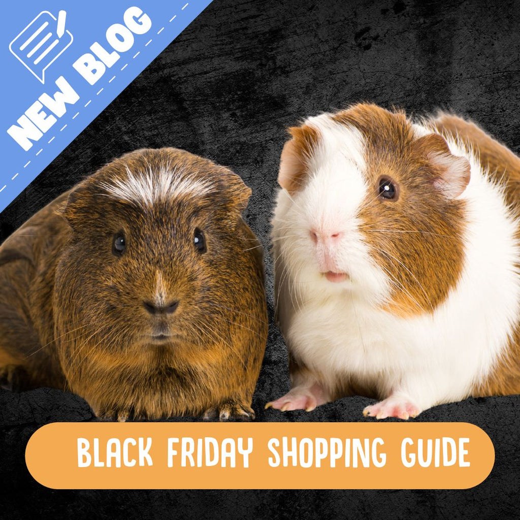 The Black Friday Sale is Coming