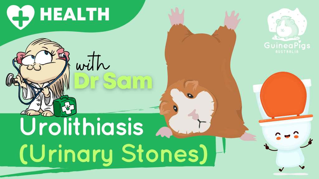 101 about URINARY STONES