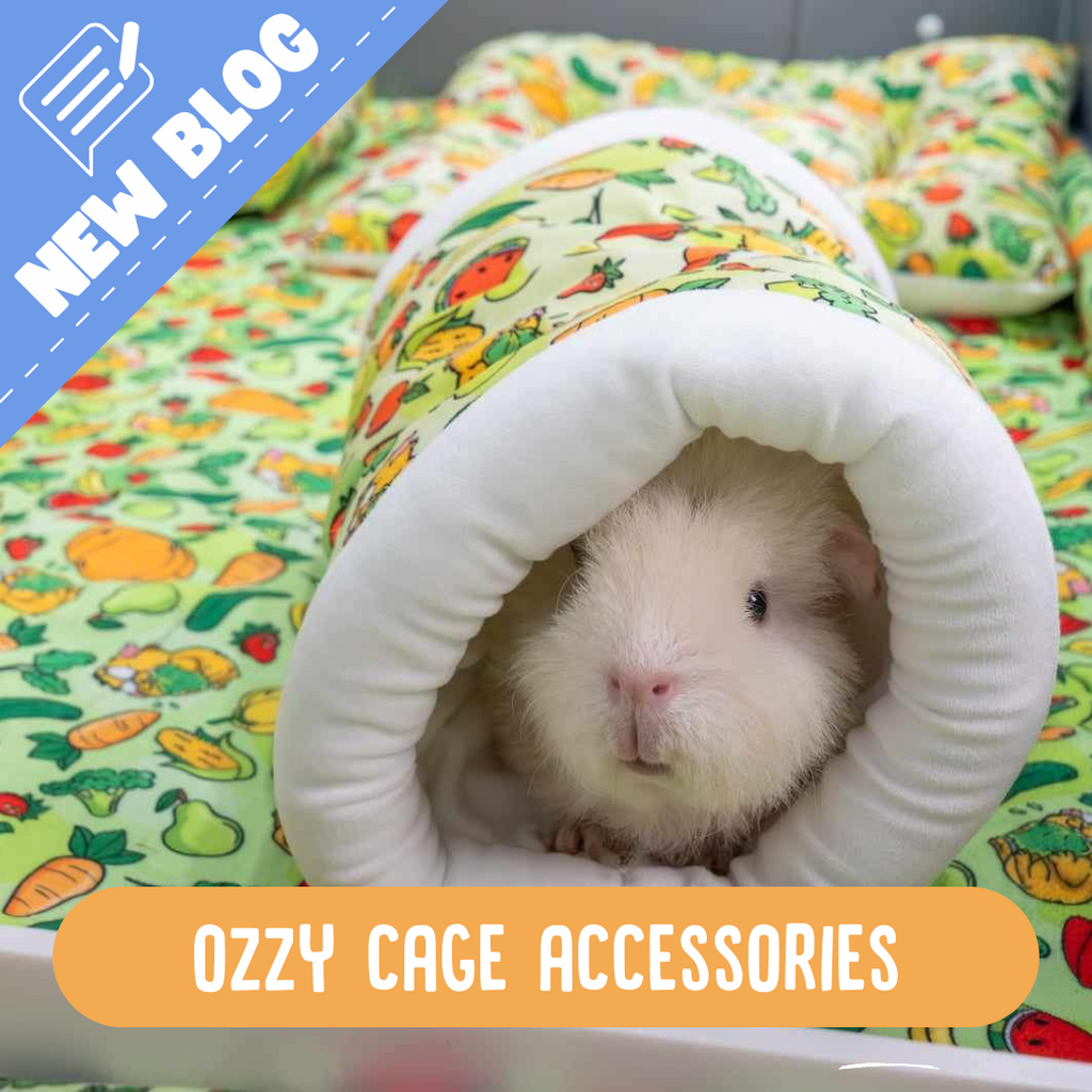 Ozzy Cage Accessories Find out whats new Guinea Pigs Australia