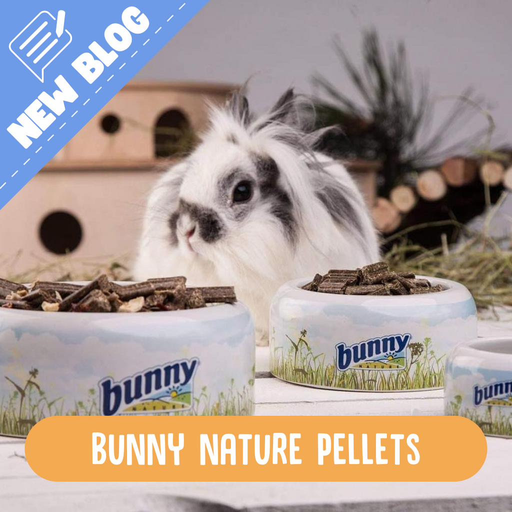 Rabbit eating bunny nature pellets 