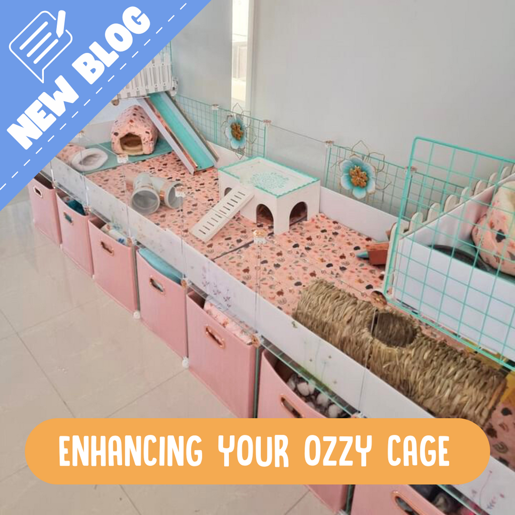 Ozzy c and c cage full of toys and houses for Guinea pigs with pink storage boxes underneath 