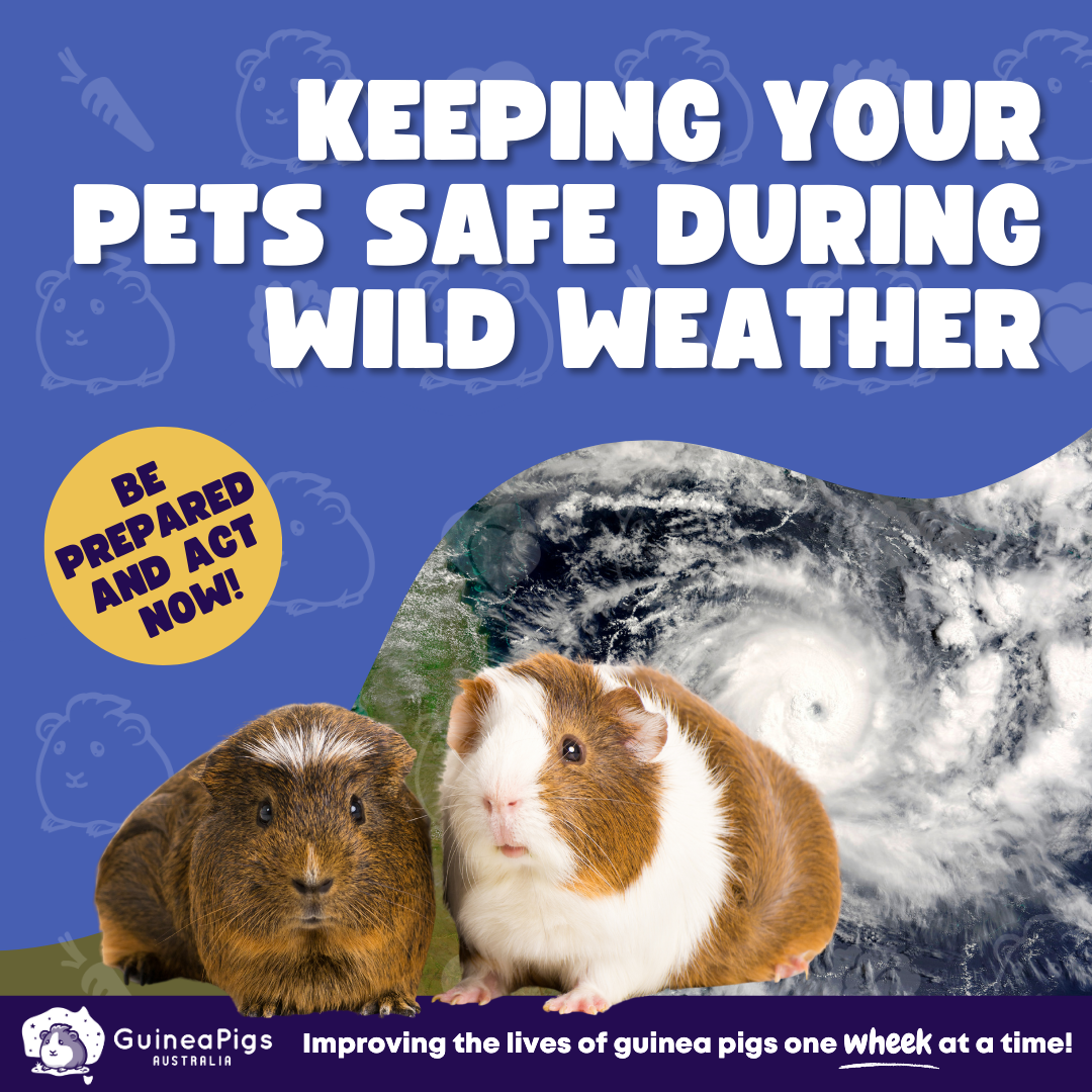 EMERGENCY CHECKLIST - Keep your piggies safe during wild weather