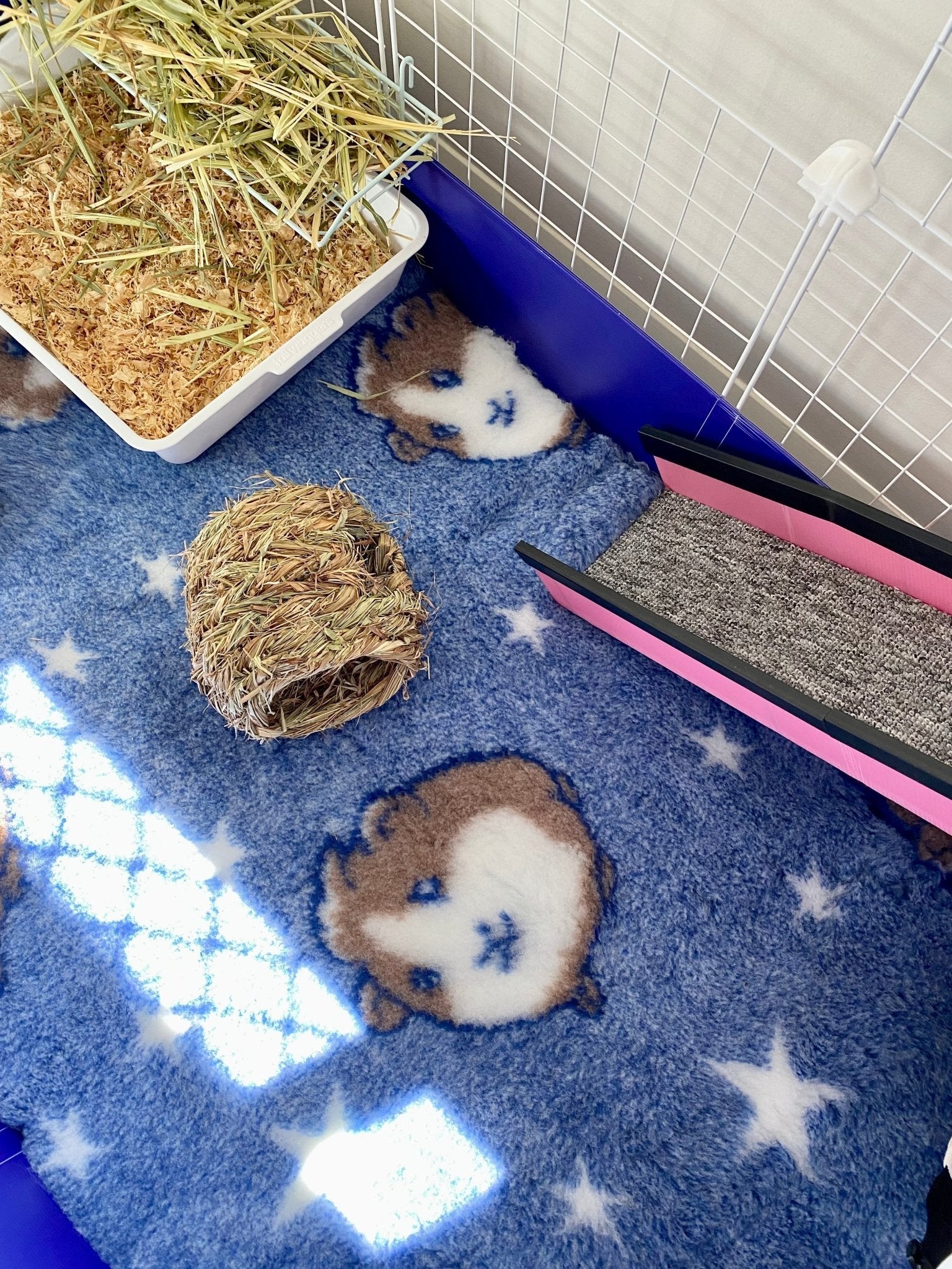 Vet Bed - Vet Bed Supplier Australia Everything You Need to Know! - Guinea Pigs Australia