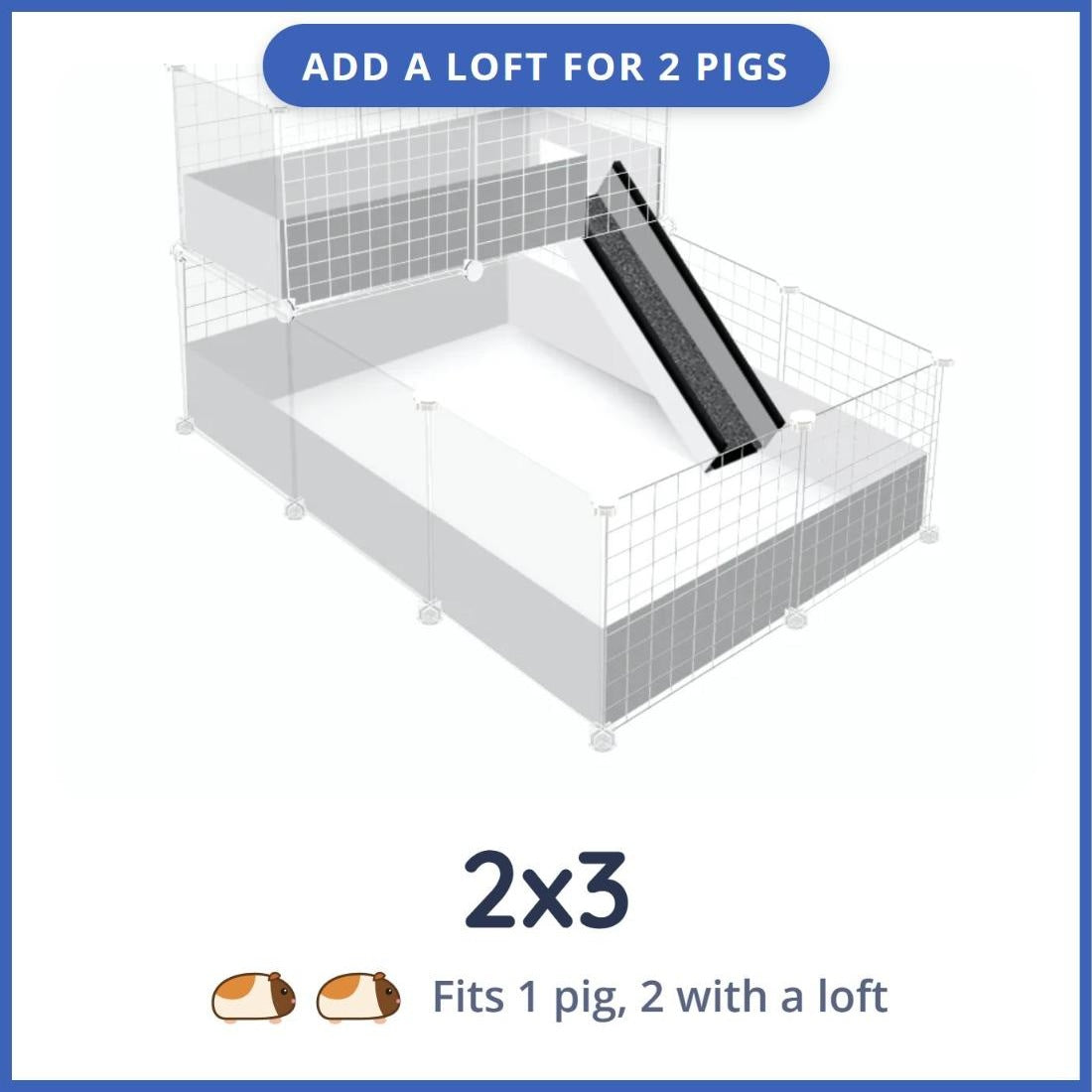 Ozzy 2x3 clear sided C&C guinea pig cage with loft and ramp, fits 1 guinea pig or 2 with a loft