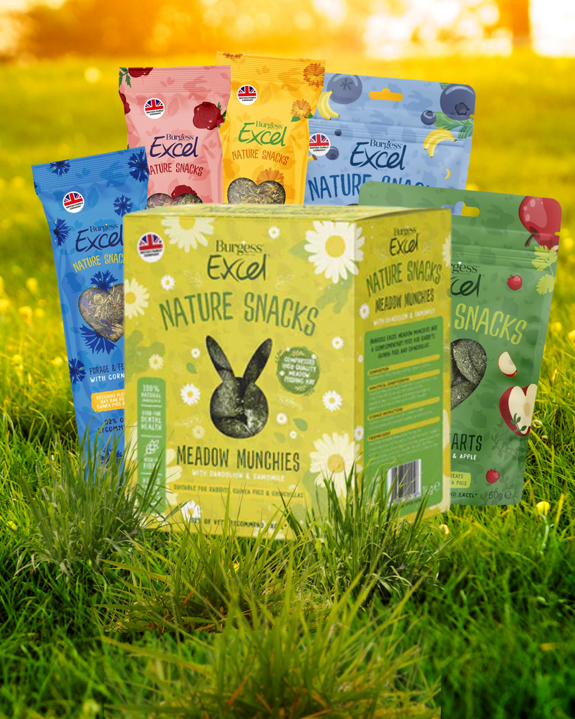 Burgess Excel Treats