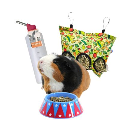 Bowls, Hay Racks and Bottles
