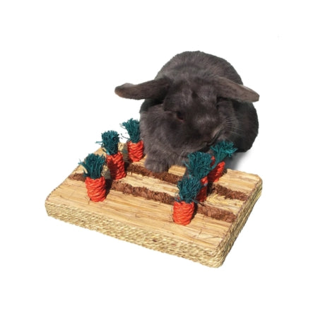 Rabbit Toys from Guinea Pigs Australia