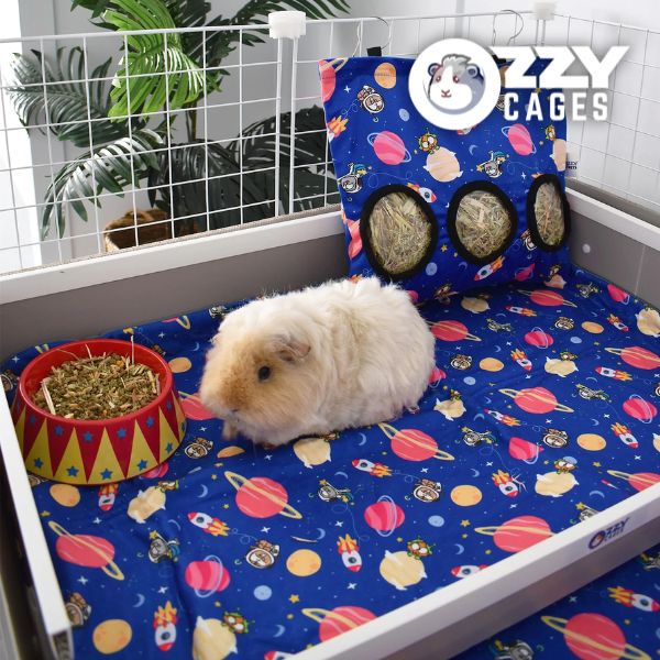 Bedding Options for Guinea Pigs | Guinea Pigs Australia