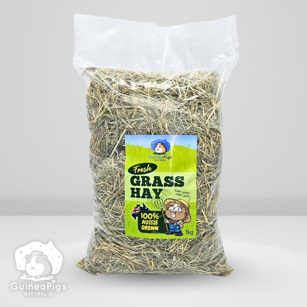 Fresh shops grass for guinea pigs