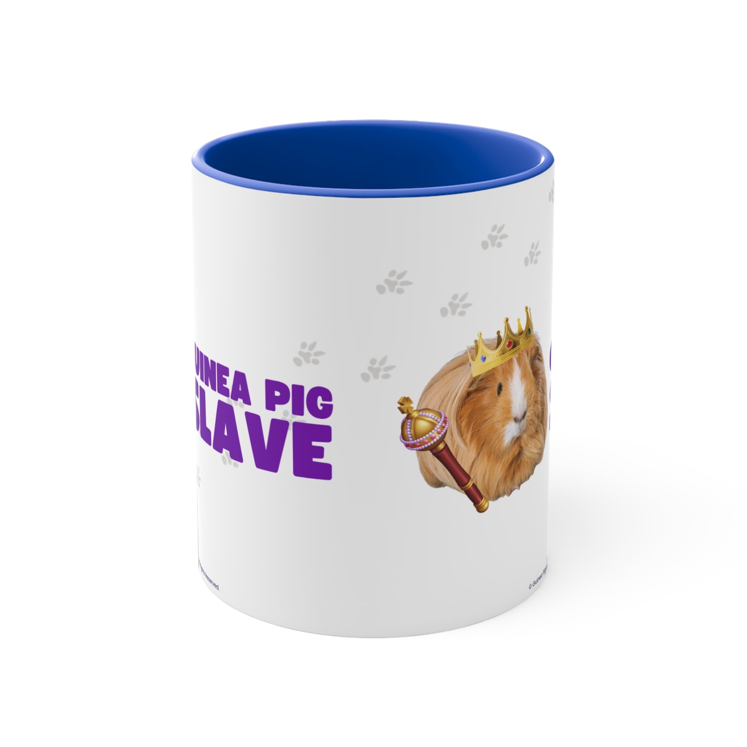 Mug - Guinea Pig Slave