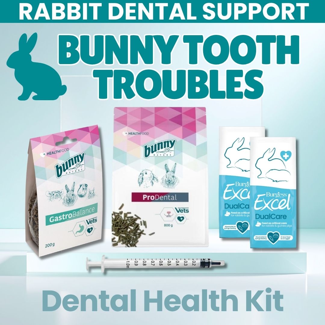 Bunny Tooth Troubles - Rabbit Dental Health Kit