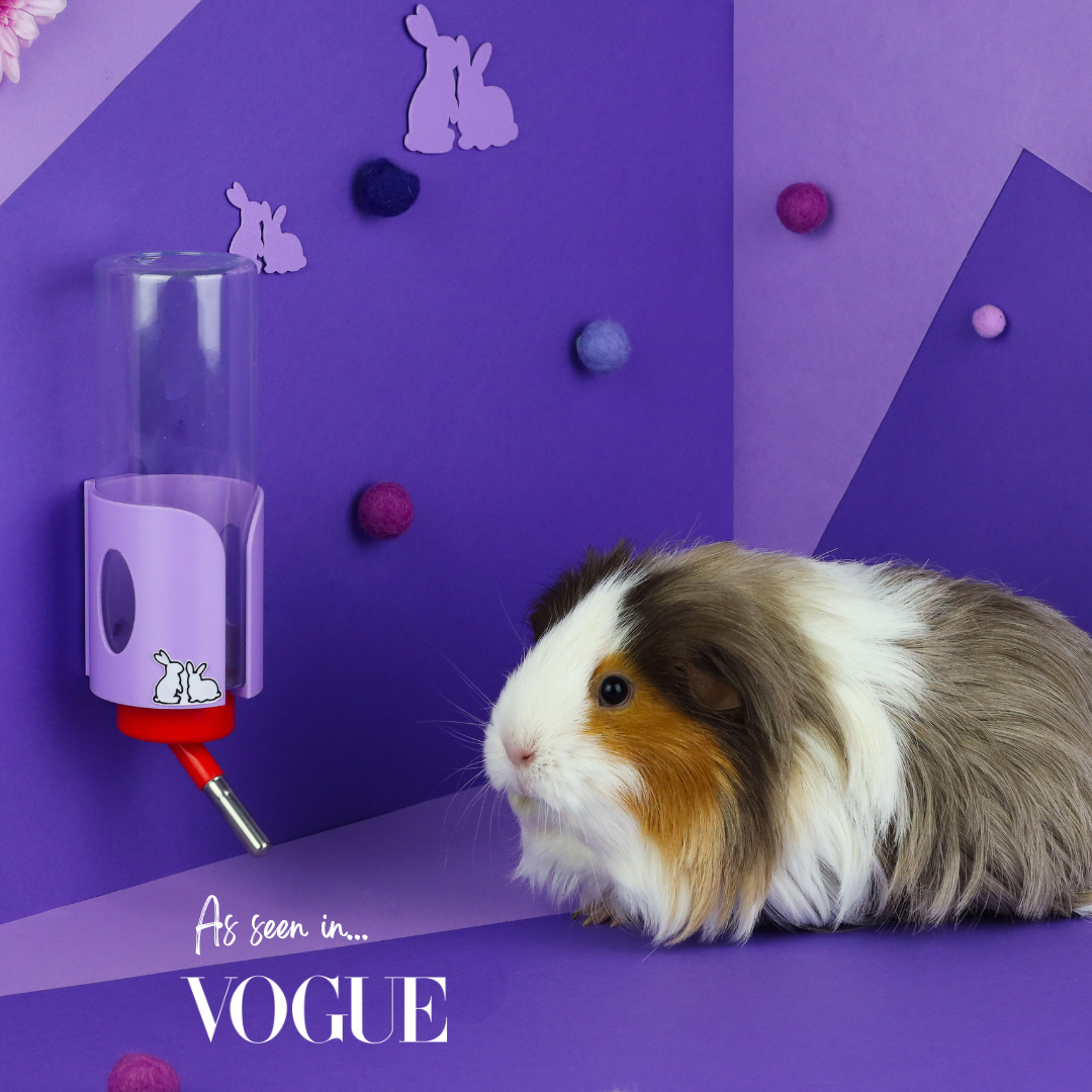 Buttercup Pet Products Water Bottle Holder - Midi (320ml)