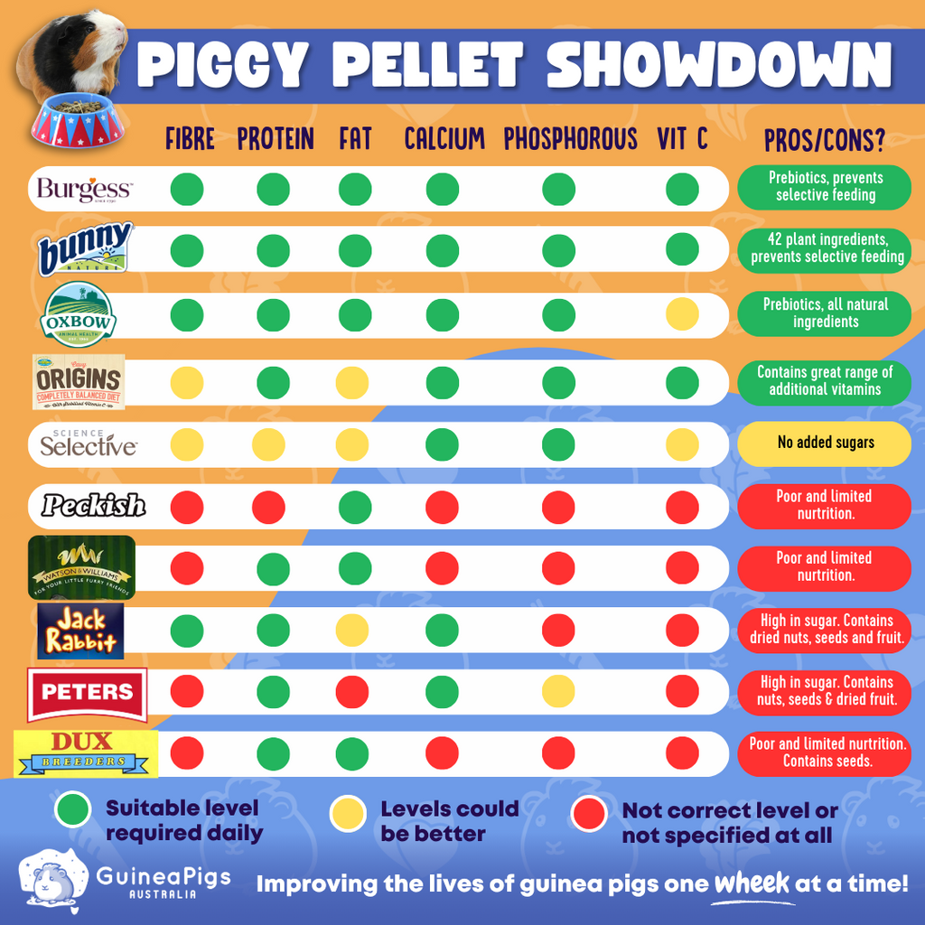 Chart showing popular brands of guinea pig pellets and showing levels of fibre, protein, fat, calcium, phosphorous and vitamin C for each. 