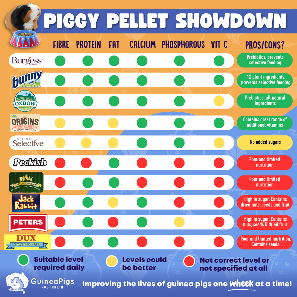 Illustration of Guinea Pig Pellets Vs Hay For Small Particle Size