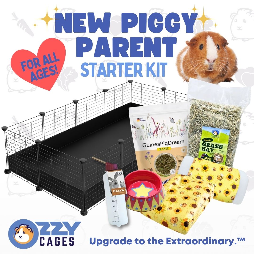 New Piggy Parent Starter Kit