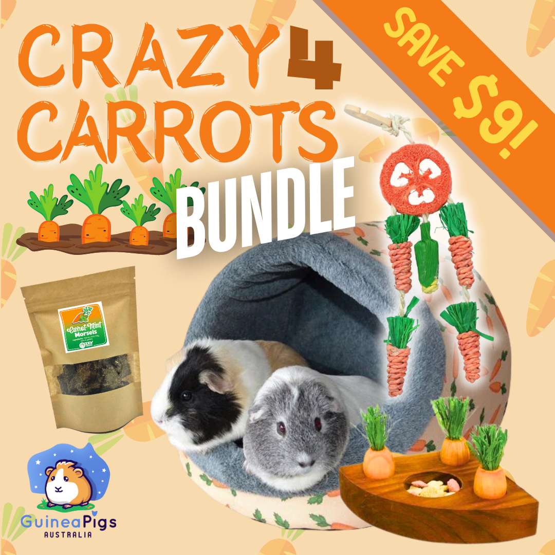 Crazy 4 Carrots