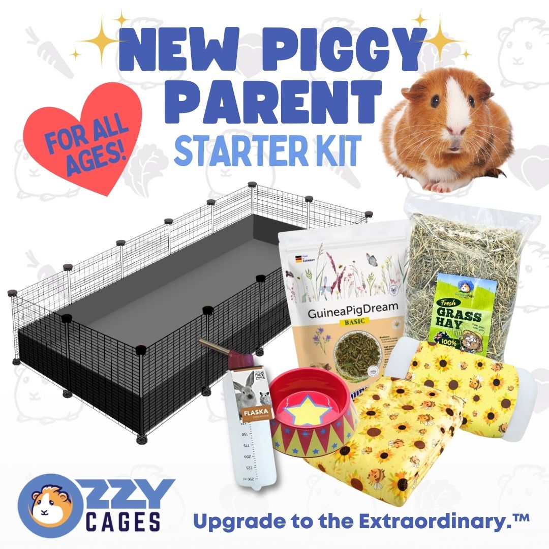 New Piggy Parent Starter Kit