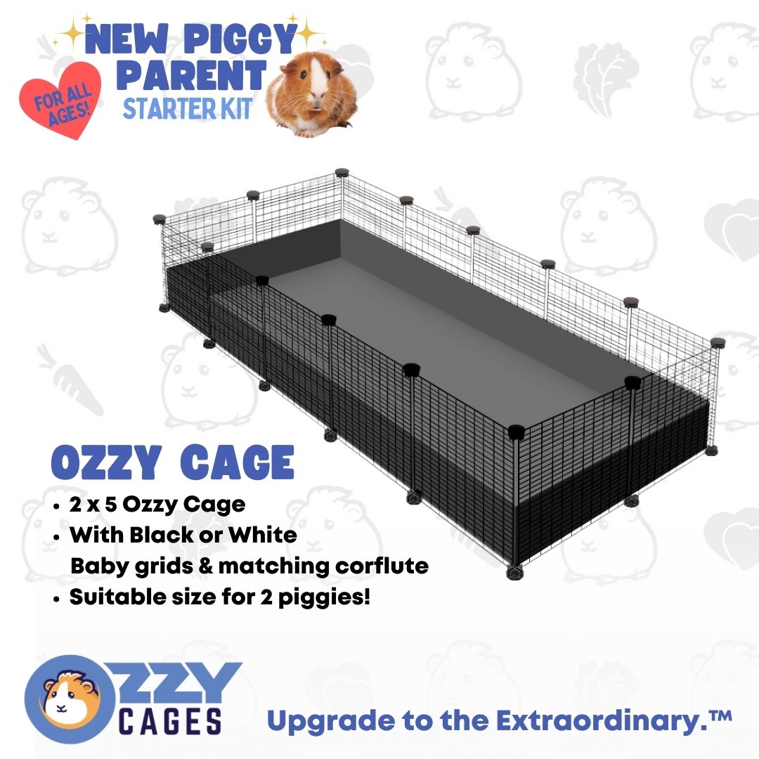 New Piggy Parent Starter Kit