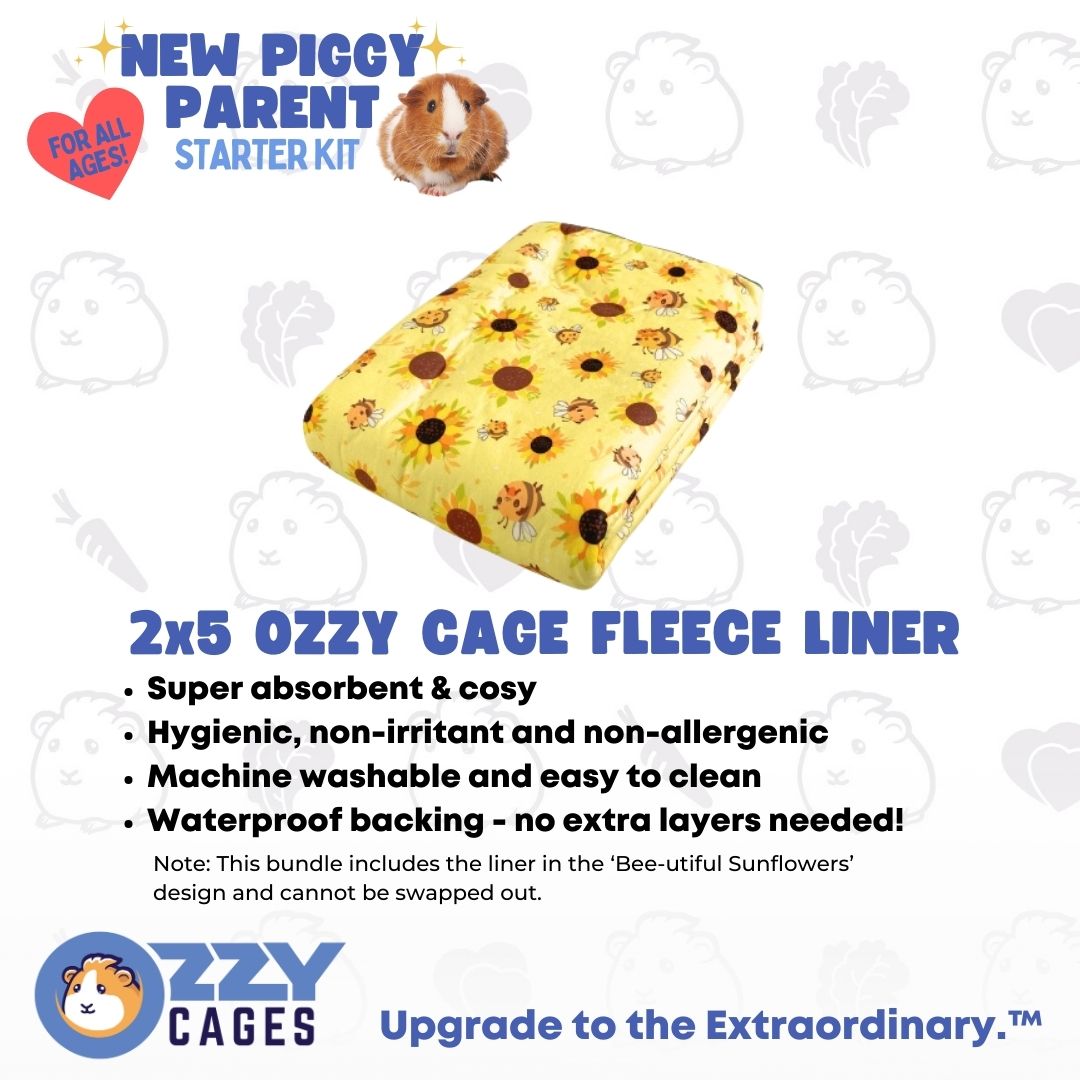 New Piggy Parent Starter Kit