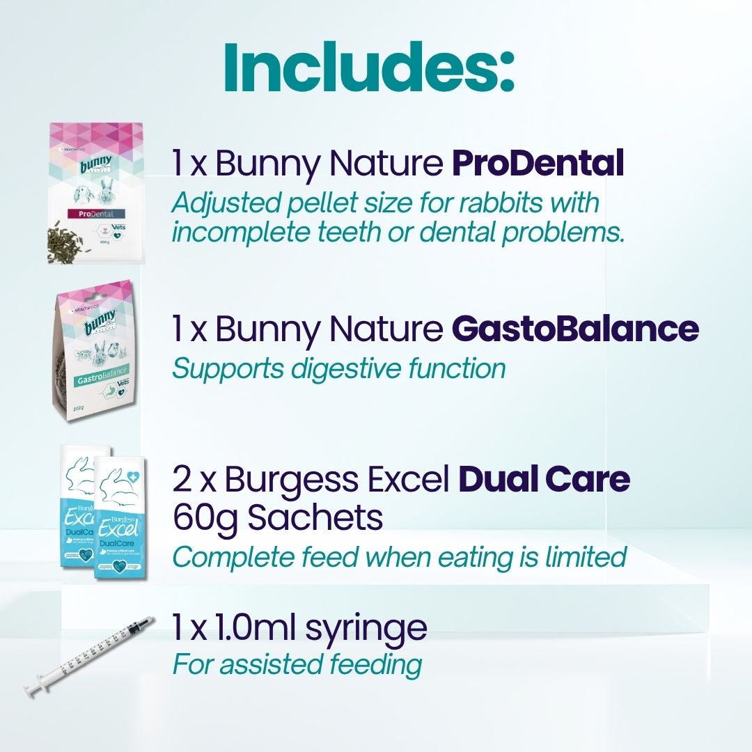 Bunny Tooth Troubles - Rabbit Dental Health Kit