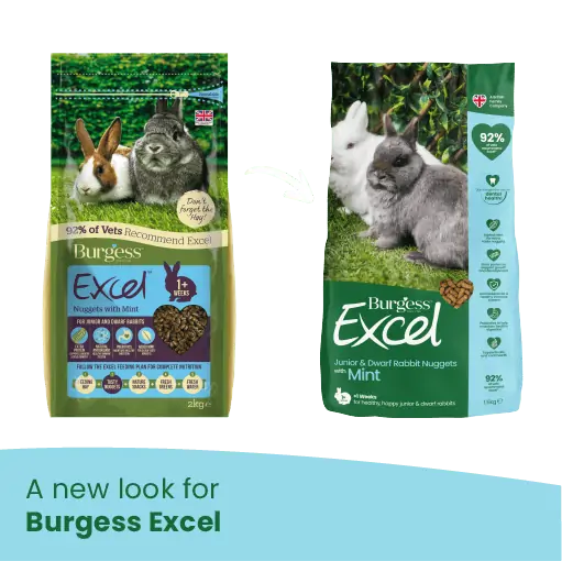 Excel rabbit online nuggets with mint