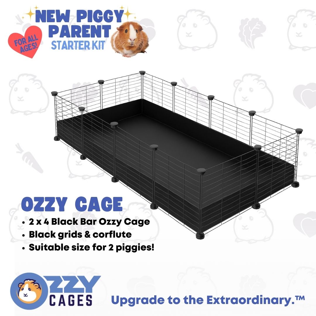 New Piggy Parent Starter Kit