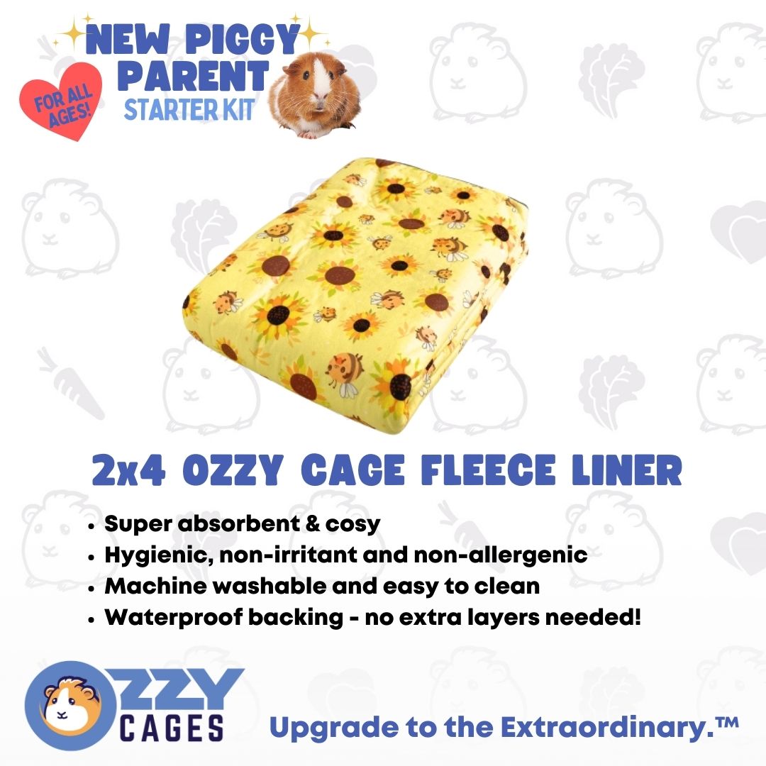 New Piggy Parent Starter Kit