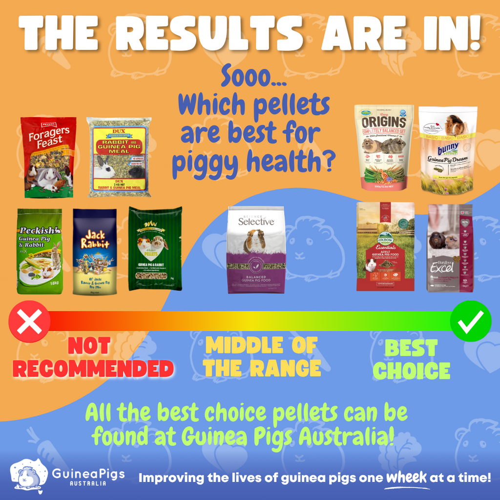 Images of guinea pig pellet brands and mixes showing which ones are recommended and not recommended to feed guinea pigs.