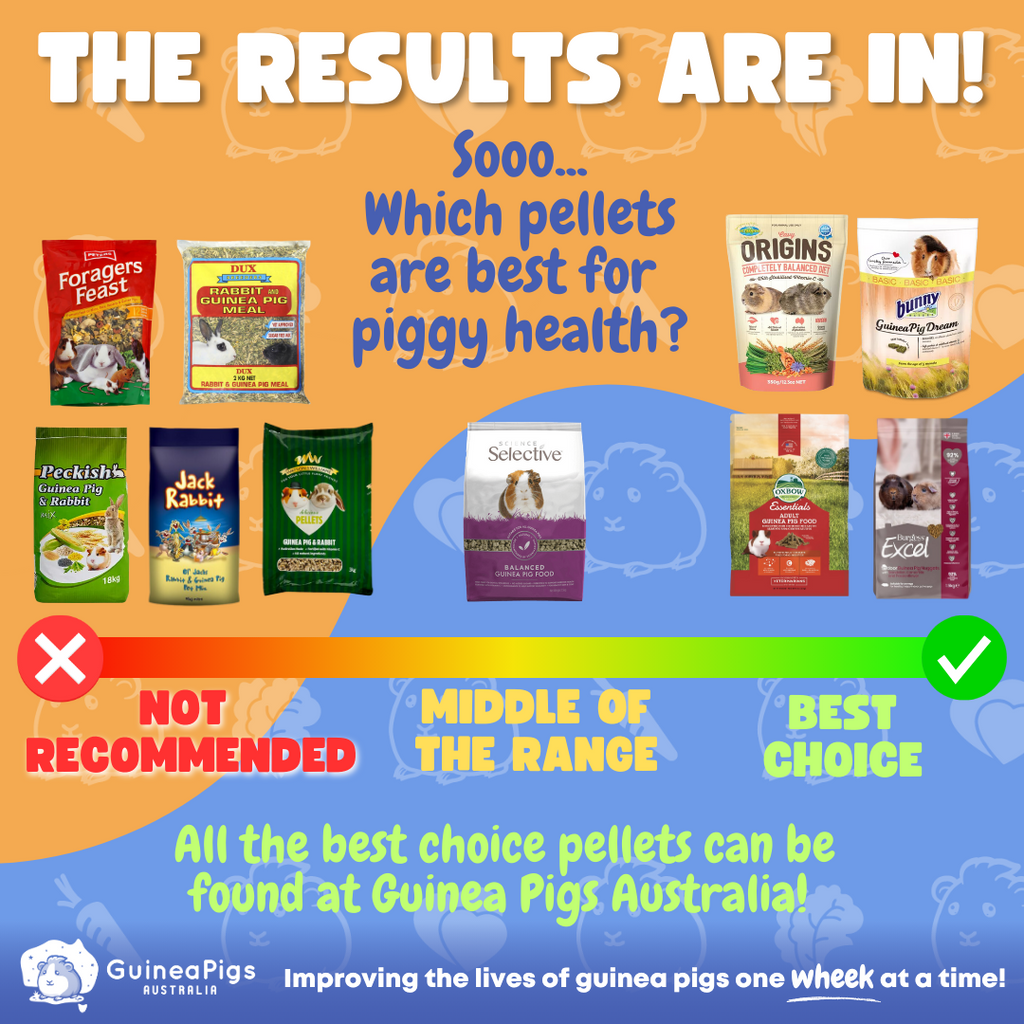 A closer look at Perfect Mix Guinea Pig Pellets