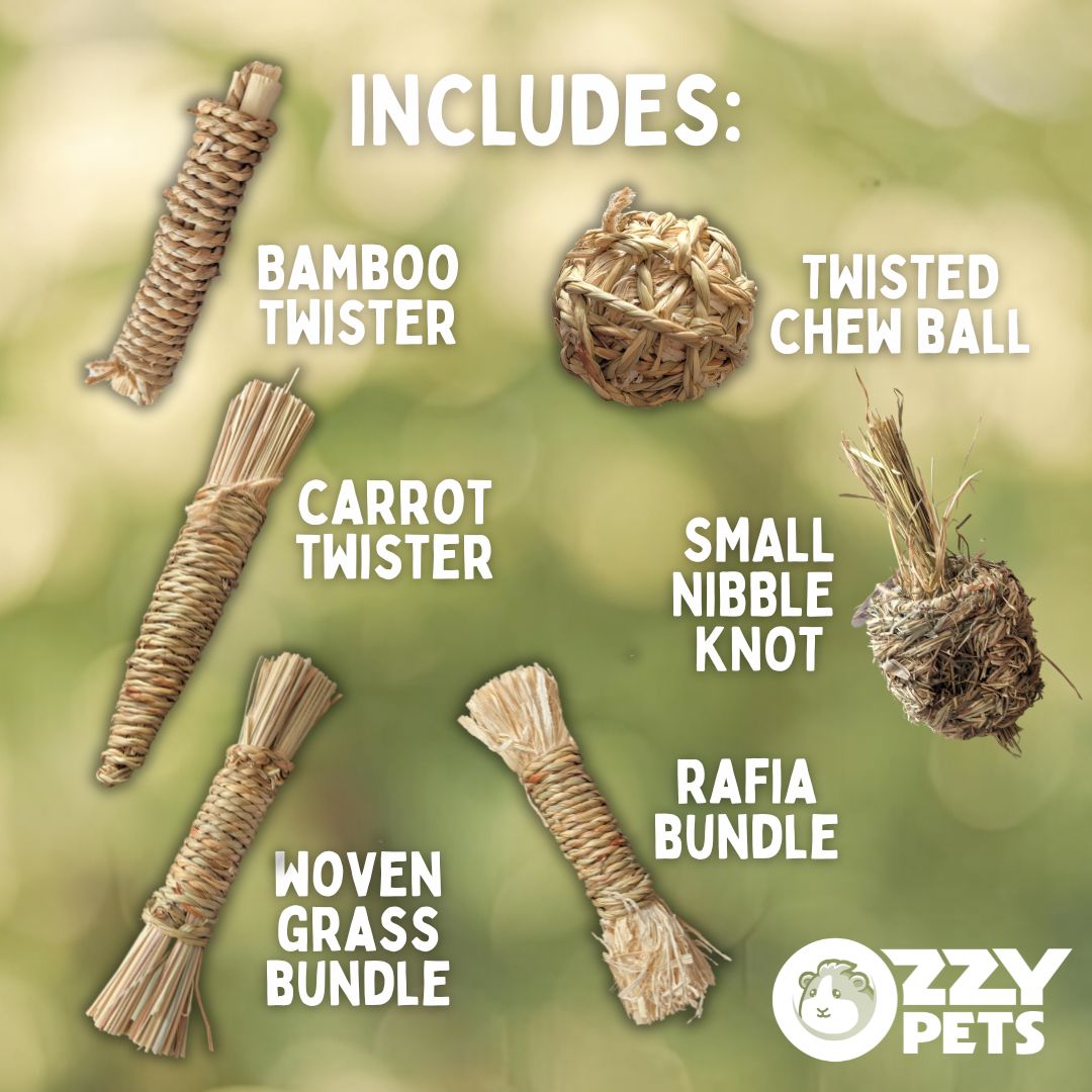 Chew Toy Fun Bundle - Edible Toy Value Pack for Guinea Pigs and Rabbits - Ozzy Pets