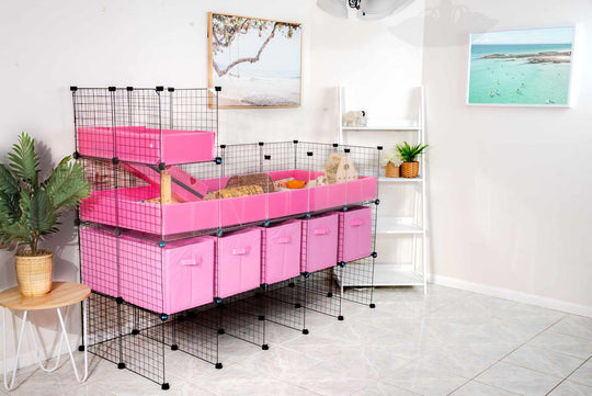 Guinea Pig C&C Cage