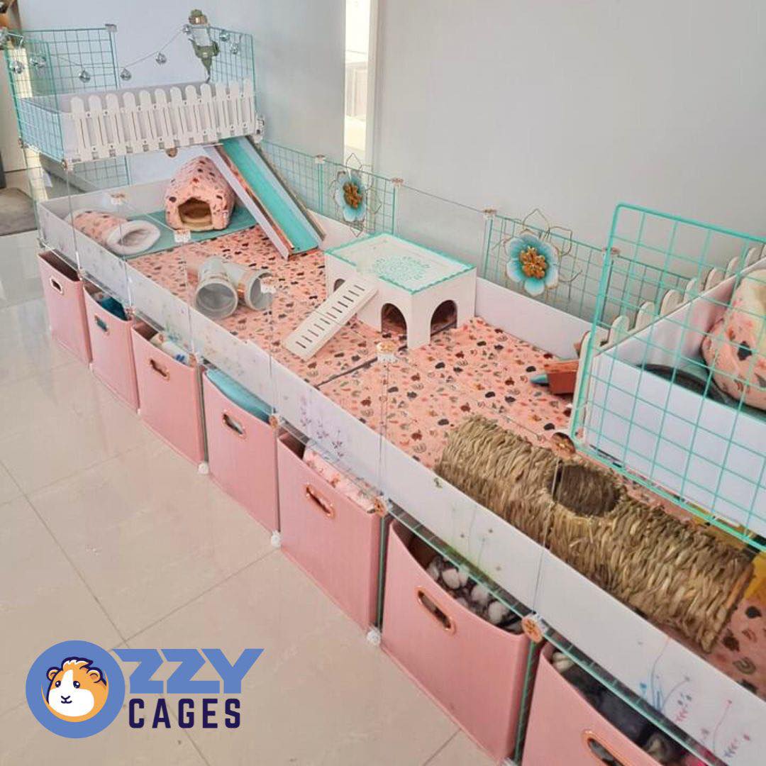 Multi level guinea pig cage best sale