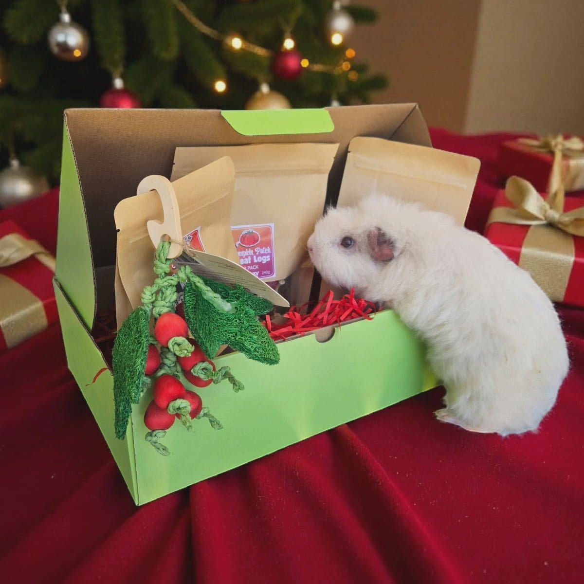 Classic Christmas Gift Box for Guinea Pigs and Rabbits