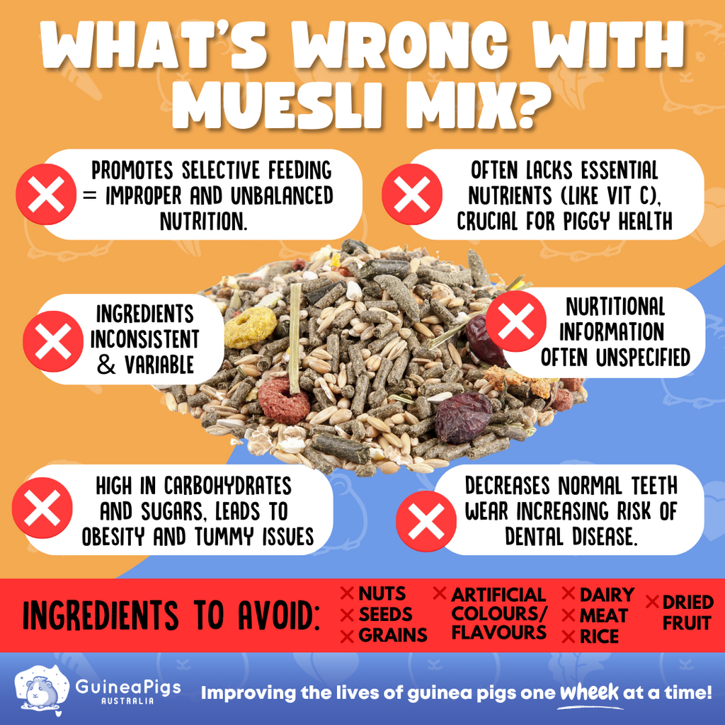 Muesli based mix and points listing why these are bad for guinea pigs.